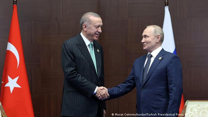 Putin propone a Erdogan crear un «centro gasístico» en Turquía
