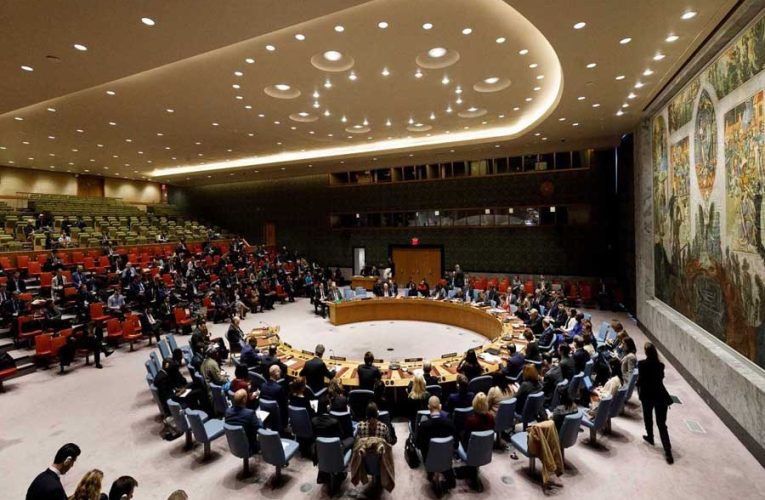 Rusia convocará en el Consejo de Seguridad una reunión informal sobre evacuación de niños de Ucrania