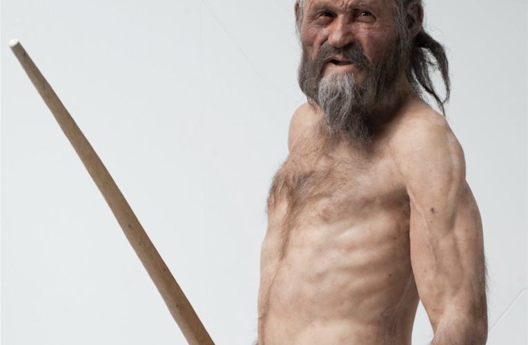 Nuevo estudio revela más secretos sobre el físico de Ötzi, «el hombre de las nieves»