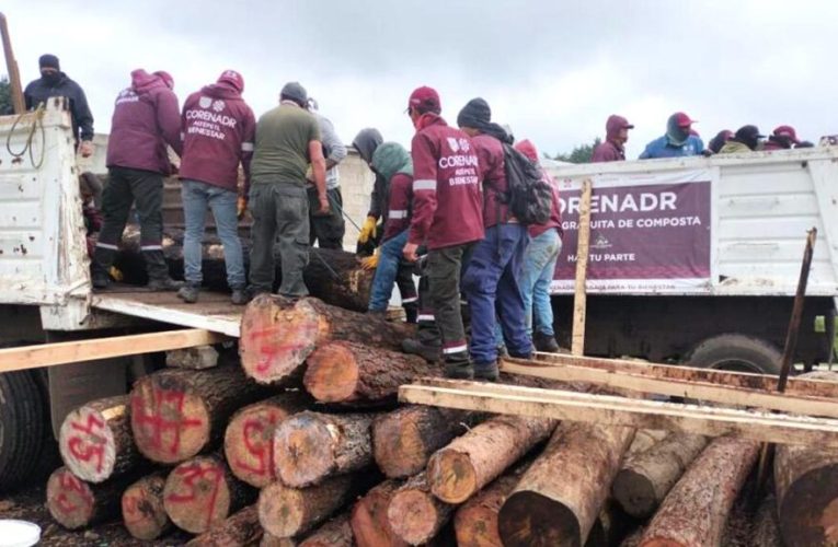 Aseguran más de mil 800 piezas de madera en aserradero clandestino