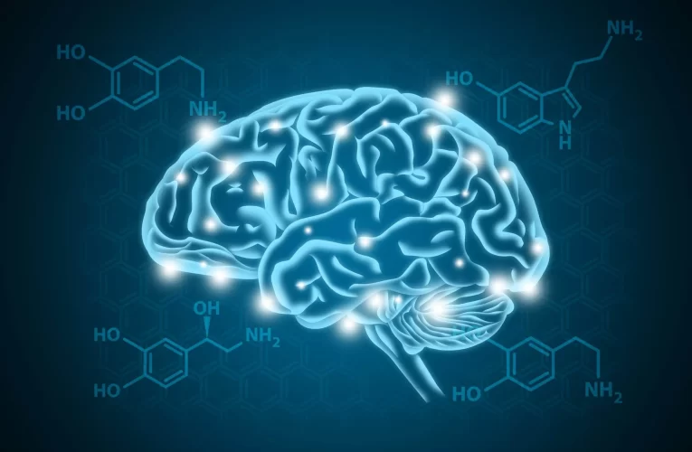 Lo que la dopamina hace en nosotros
